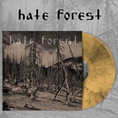 HATE FOREST - sorrow  LP